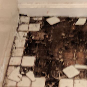 Sturbridge Meadows - Mold floors and mold hidden behind walls and bugs - Apartments Near Me - Sturbridge, Massachusetts