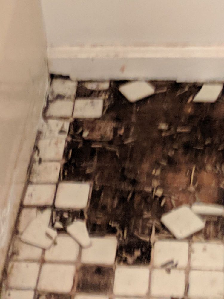 STURBRIDGE MEADOWS Updated September 2024 90 Hall Rd, Sturbridge, Massachusetts Apartments