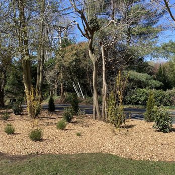 Leonard Landscaping - Landscape Architects or Designers Near Me - Falls Church, Virginia