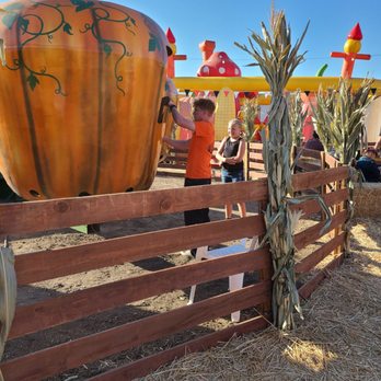 The Pumpkin Factory - Pumpkin Patches Near Me - Corona, California The Pumpkin Factory - Pumpkin Patches Near Me - Corona, California