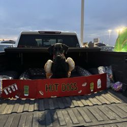 New Vintage Church - Family dog in the "hot dog stand"