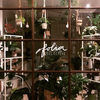 South Lake Avenue - Folia Collective and my favorite store in Pasadena - Shopping Centers Near Me - Pasadena, California South Lake Avenue - Folia Collective and my favorite store in Pasadena - Shopping Centers Near Me - Pasadena, California