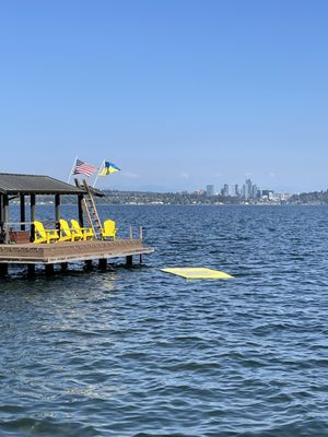 Madrona Park by null