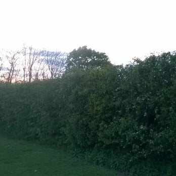 John Burrows Recreational Park - John Burrows Recreational Park #InTheSun - Parks Near Me - Hadleigh, ESS