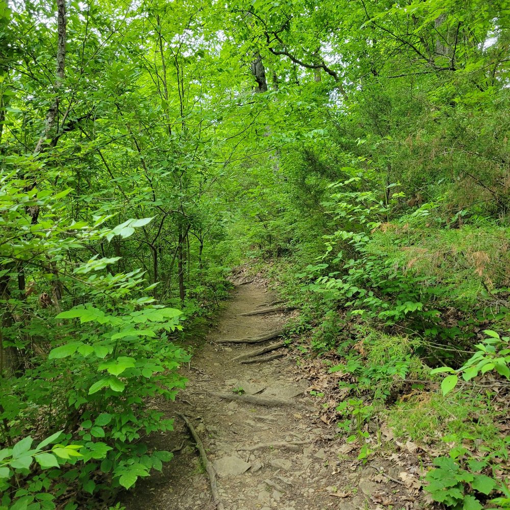 Keehner Park - Trail - Parks Near Me - West Chester, Ohio