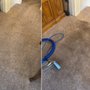 Photo of Morris Carpet Care