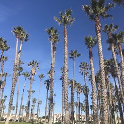 Port Hueneme Beach Park - I am a truthful man from the land of the palm trees...