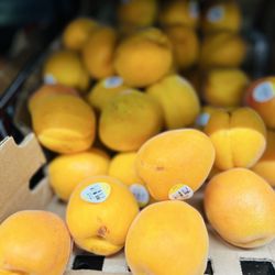 Grocery Outlet - Produce