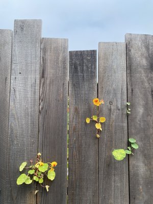 The Brickery by null