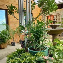 Martinson's Garden Works