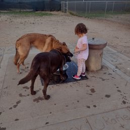 Kid friendly! Kid friendly!