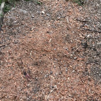 SA Total Tree Service - After - Tree Services Near Me - Helotes, Texas SA Total Tree Service - After - Tree Services Near Me - Helotes, Texas
