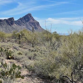 Tucson Mountain Park - Hiking Near Me - Tucson, Arizona Tucson Mountain Park - Hiking Near Me - Tucson, Arizona