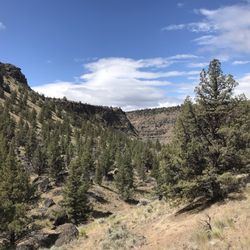 Tam-a-lau Trail