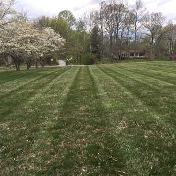 Lawn Busters - a freshly mowed lawn - Landscaping Near Me - White House, Tennessee Lawn Busters - a freshly mowed lawn - Landscaping Near Me - White House, Tennessee