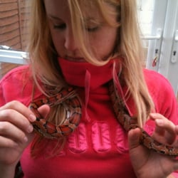 Lisa's Pet Care Services - Reptile boarding or visits