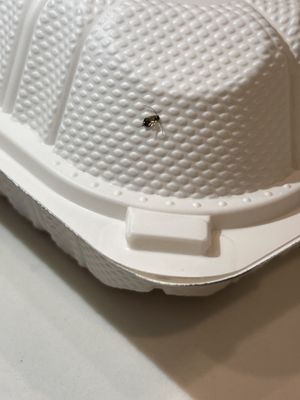 Tom's Dim Sum by null