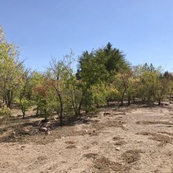 Xeriscape park - @ Xeriscape park - 10/25/17