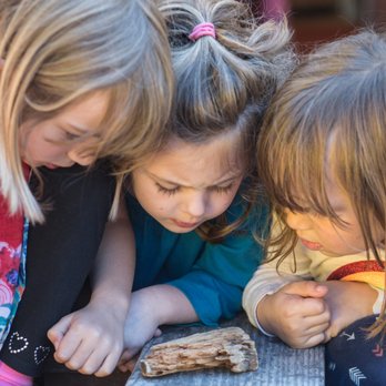 Sheffield Preschool Program - Elementary Schools Near Me - Berkeley, California