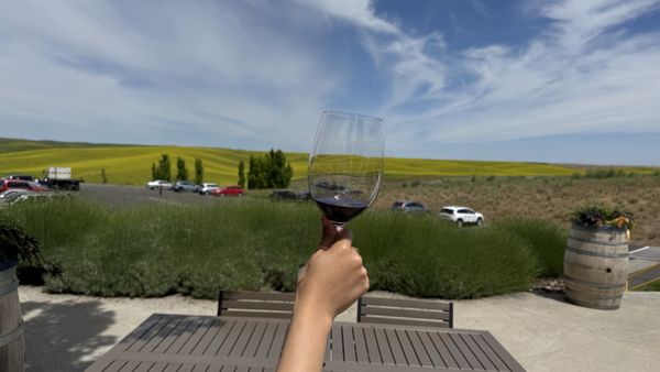 Long Shadows Winery by null