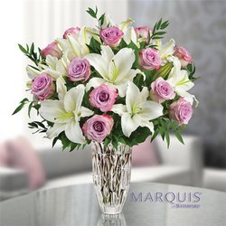 Flowers in Burlington - Beautiful