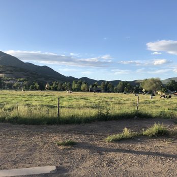 Heber Valley Artisan Cheese - Vacation cows - Cheese Shops Near Me - Midway, Utah Heber Valley Artisan Cheese - Vacation cows - Cheese Shops Near Me - Midway, Utah