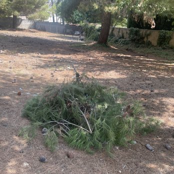 Eco Junk Hauling - Tree limbs - Junk Removal & Hauling Near Me Eco Junk Hauling - Tree limbs - Junk Removal & Hauling Near Me