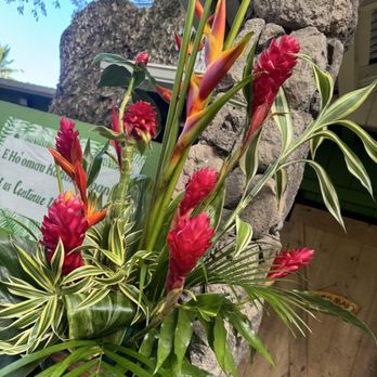 Tropical Farms Macadamia Nut - Specialty Food Near Me - Kaneohe, Hawaii Tropical Farms Macadamia Nut - Specialty Food Near Me - Kaneohe, Hawaii