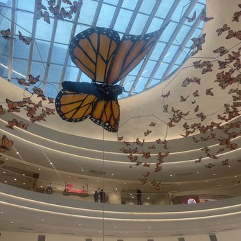 MAC Cosmetics - Butterfly Art - Cosmetics & Beauty Supply Near Me - Bloomington, Minnesota MAC Cosmetics - Butterfly Art - Cosmetics & Beauty Supply Near Me - Bloomington, Minnesota