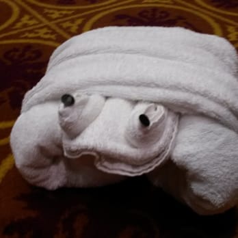 Carnival Glory - Learning how to fold animal towels - Travel Services Near Me - Miami, Florida Carnival Glory - Learning how to fold animal towels - Travel Services Near Me - Miami, Florida