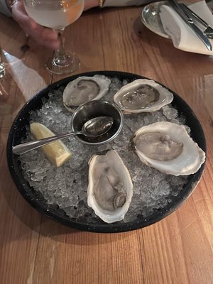 Field & Vine by null