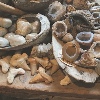 Seed To Stem - Antiques Near Me - Worcester, Massachusetts