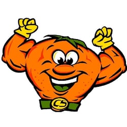 CitruSolution Carpet Cleaning