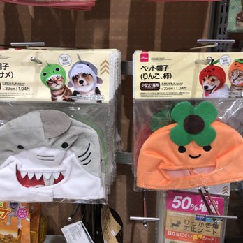 Daiso - cat hats! - Department Stores Near Me - San Francisco, California