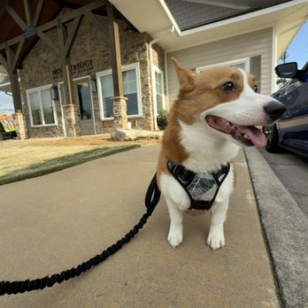 Northridge Veterinary Center - Happy Corgi after every appointment. The staff is truly amazing ensuring my dog is happy and healthy. - Veterinarians Near Me - Columbus, Georgia Northridge Veterinary Center - Happy Corgi after every appointment. The staff is truly amazing ensuring my dog is happy and healthy. - Veterinarians Near Me - Columbus, Georgia