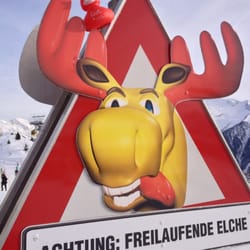 ElchBAR - Sonnig an der Bergstation Penken!
