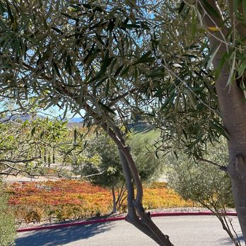 Miramonte Winery - Wineries Near Me - Temecula, California Miramonte Winery - Wineries Near Me - Temecula, California