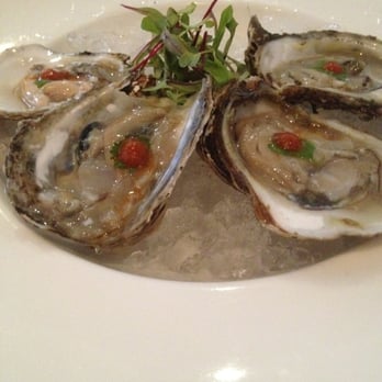 Tomodachi Sushi - Blue point oysters - Sushi Bars Near Me - Austin, Texas Tomodachi Sushi - Blue point oysters - Sushi Bars Near Me - Austin, Texas