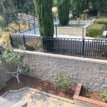 Phan Gardening - After - trimmed/pruned for healthy new growth & bark laid - Gardeners Near Me