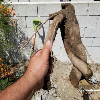M Goldman General Maintenance - Handyman Near Me