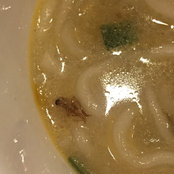 Zhengzhou Noodles - Chinese Near Me - Flushing, New York Zhengzhou Noodles - Chinese Near Me - Flushing, New York