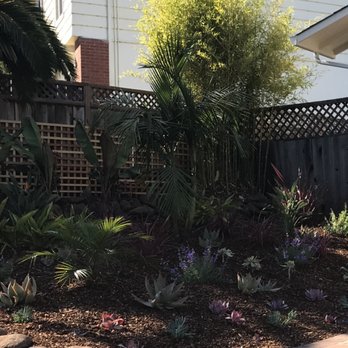 Earthtones - Front yard - Landscaping Near Me - Pacifica, California