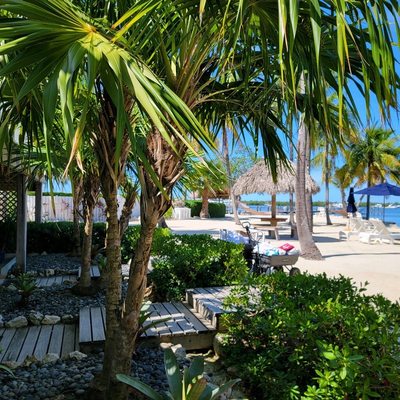 Coconut Palm Inn by null