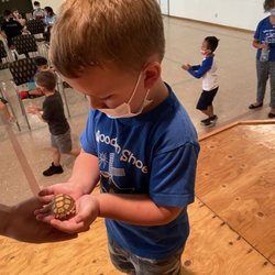 Reptile day! He loved seeing all the animals.