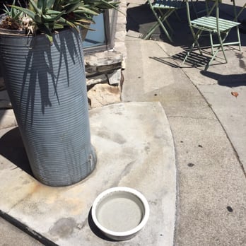 Shaky Alibi - The water dish is just outside the front door for your adorable canine friend. - Coffee & Tea Near Me - Los Angeles, California Shaky Alibi - The water dish is just outside the front door for your adorable canine friend. - Coffee & Tea Near Me - Los Angeles, California