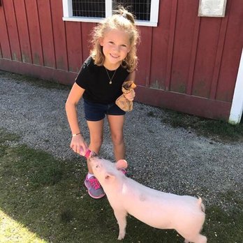 The Farm - Farms Near Me - Sturgeon Bay, Wisconsin The Farm - Farms Near Me - Sturgeon Bay, Wisconsin