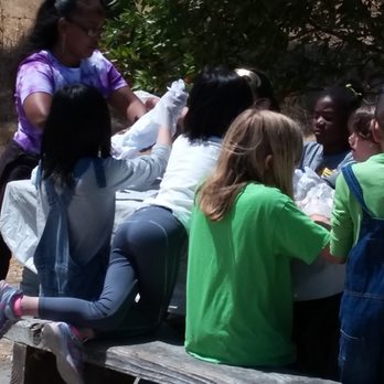 Honey Art Studio - Youth Art Experience - Paint & Sip Near Me - San Francisco, California Honey Art Studio - Youth Art Experience - Paint & Sip Near Me - San Francisco, California