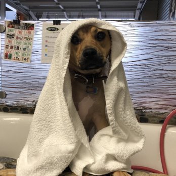 Dirty Dogs - Pet Groomers Near Me - Solana Beach, California
