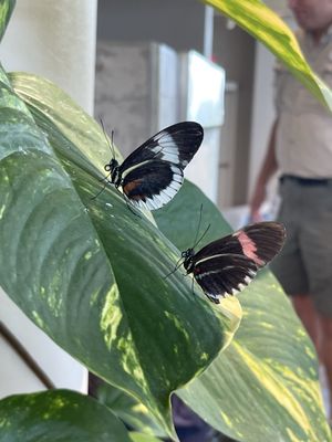 Audubon Aquarium by null
