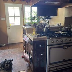 Kathleen Savage, MD - Cato in kitchen
